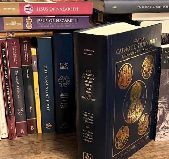 catholic bible study