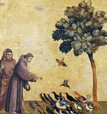 saint of animals