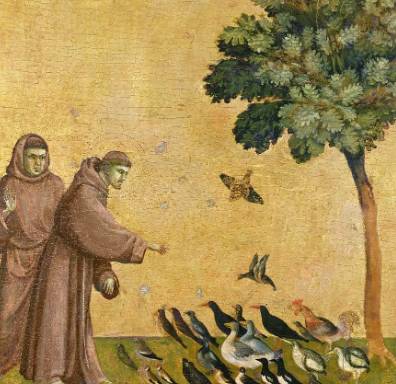 How Saint Francis of Assisi Changed the Church