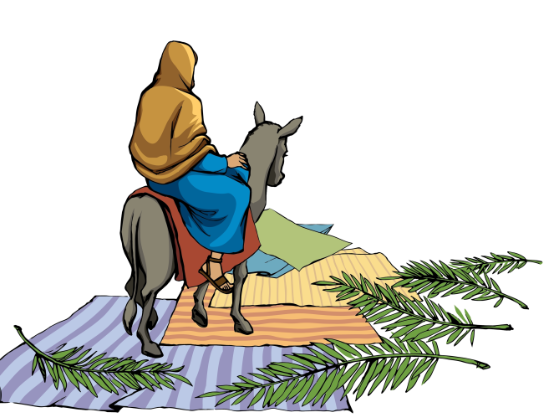 Biblical Meaning of Donkey1