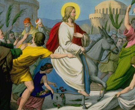 Biblical Meaning of Donkey2